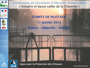 Elaboration du Docob Estuaire et basse vallée de la Charente Les