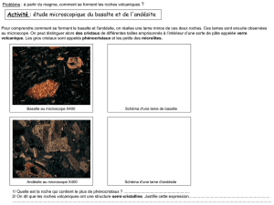 Etude microscopique du basalte et de l`andésite