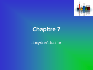 Chapitre 7
