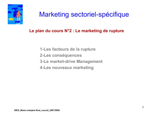 Marketing sectoriel-spécifique
