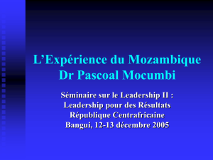 The Mozambique Experience Dr Pascoal Mocumbi