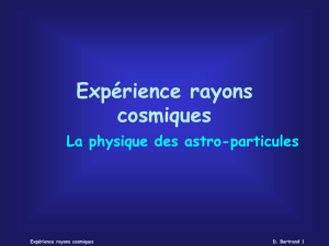 Expérience rayons cosmiques