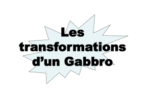 Transformations Gabbro