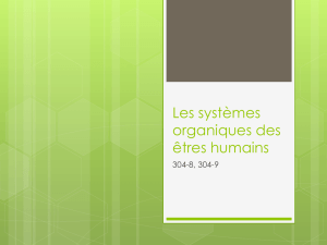 Les systèmes organiques des êtres humains