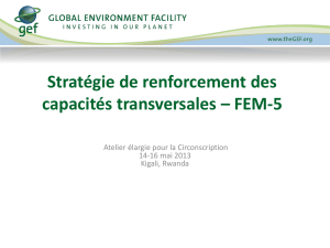 Stratégie de renforcement des capacités transversales – FEM-5
