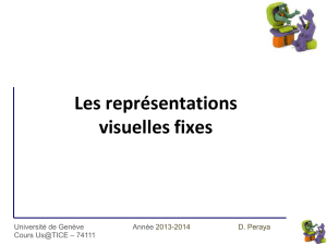 representations_visuelles_fixes_1314 - Tecfa