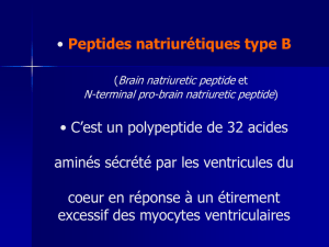Peptides natriurétiques type B