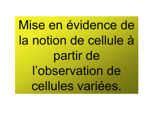 cours 2nde cellule