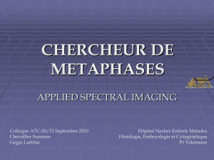 Applied Spectra Imaging S. CHEVALLIER L. GEGAS