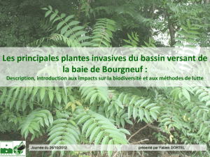Plantes invasives Travaux en cours au CBN de Brest Les attentes