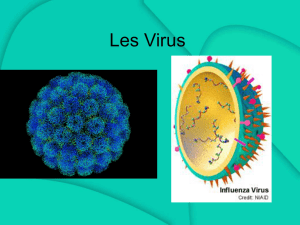 Les Virus - fhsbiologie11