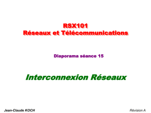 RSX101-nn