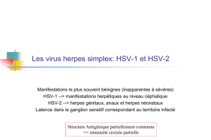 Les virus herpès simplex
