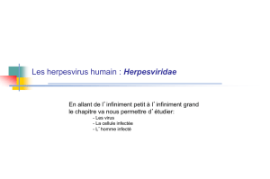 Les herpesvirus humain