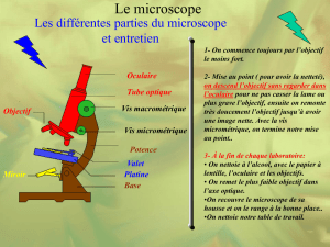Les différentes parties du microscope