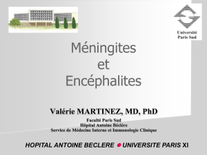 meningite et encephalite 2011-2012 - E