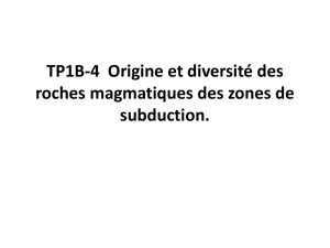 Illustrations tp4 magmatisme subduction