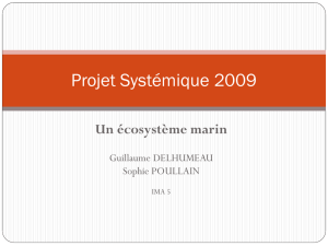 Projet Systémique 2009