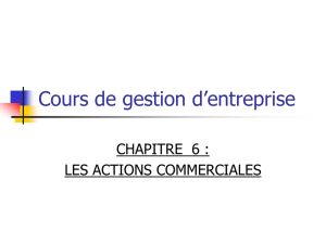 cours 6 actions commerciales