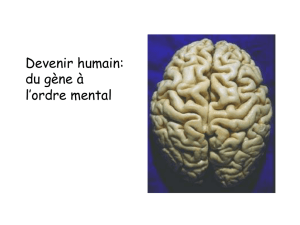 Devenir humain: du gène à l`ordre mental