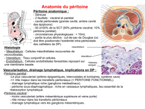 Anatomie membrane peritoneale et PET test