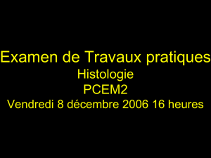 Examen de TP PCEM 2 Décembre 2006