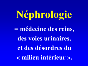 Nephrologie-Proteinuries