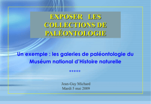 exposer les collections de paléontologie