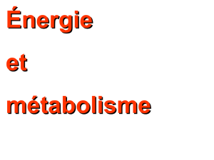 Energie et métabolisme cellulaire