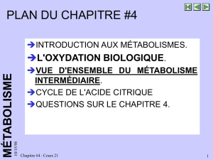 Cours 21