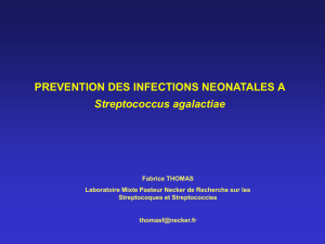 Prévention des infections néonatales à Streptococcus