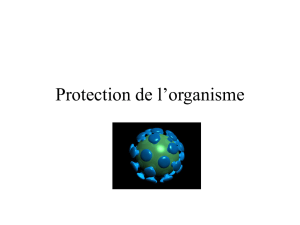 Protection de l`organisme