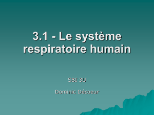 3.2 - Le système respiratoire humain