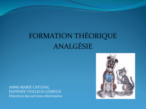 Diapositive 1 - Direction des services vétérinaires