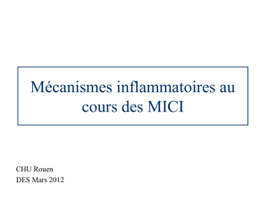 Mécanismes inflammatoires au cours des MICI