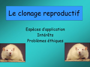Le clonage reproductif