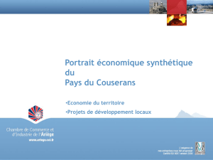 Portrait économique synthétique du Pays du Couserans