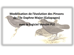 Modélisation de l`évolution des Pinsons de l`île Daphne Major