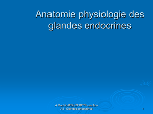 anat.phy-endocrino.-as
