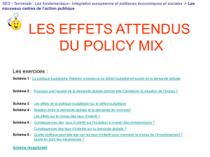 13Les_effets_attendus_du_policy_mixcorrige