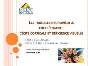 le bilan neuropsychologique - Le réseau francophone en déficience