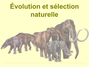 Évolution et sélection naturelle