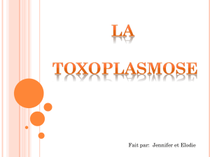 La toxoplasmose