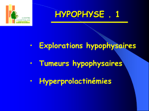 explorations hypophysaires