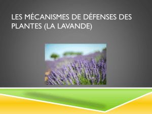 Les_mecanismes_de_defenses_des_plantes_