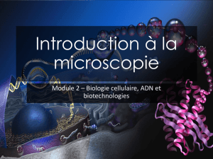 Introduction à la microscopie - Collège Lionel