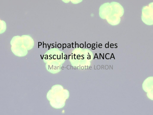Physiopathologie des vascularites à ANCA