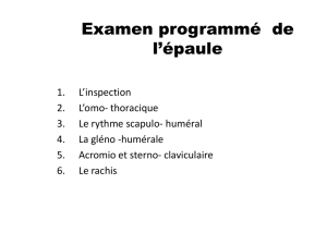 la_tendinite_de_l_epaule_examen de l`épaule ISOLA