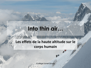 Into thin air - Collège Lionel