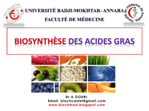 Biosynthèse des acides gras